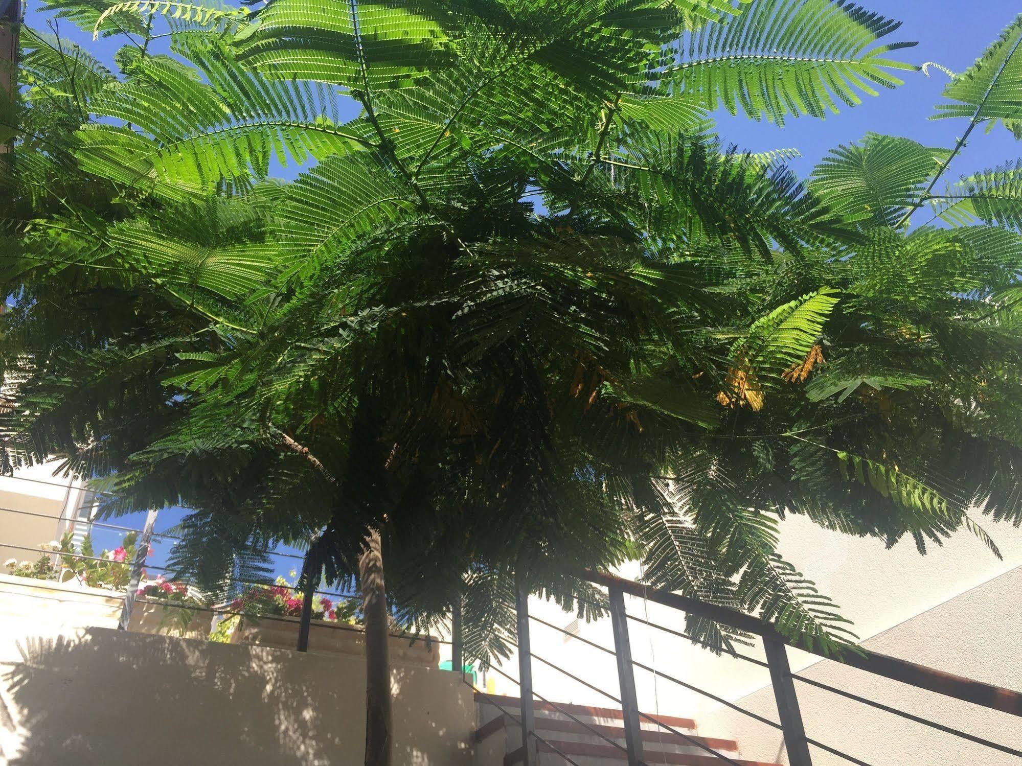 Villa Casa Flamboyant Costa Adeje  Ngoại thất bức ảnh
